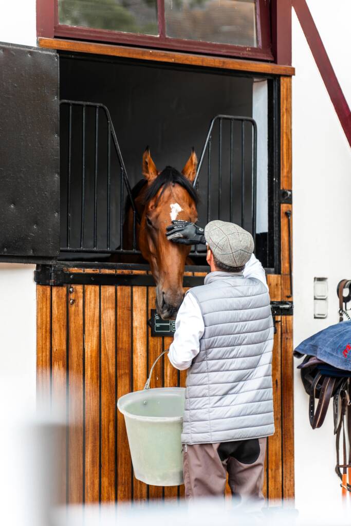 Ecurie de Course Cheval Gérald Mossé gm racing Entraîneur public à Chantilly