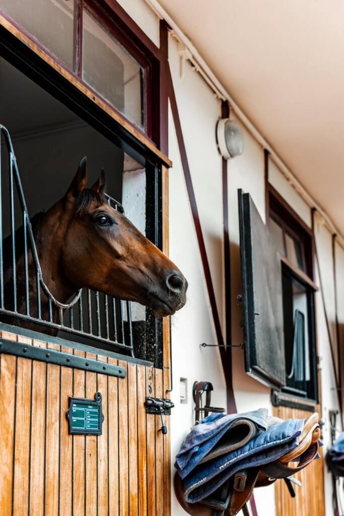 Ecurie de Course Cheval Gérald Mossé gm racing Entraîneur public à Chantilly